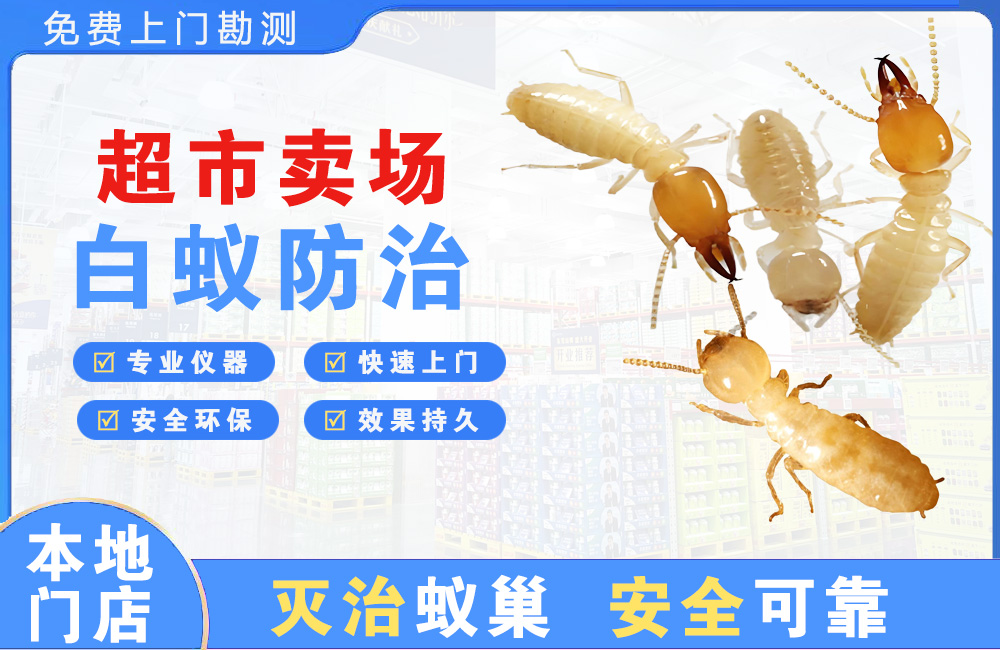 桂平超市卖场白蚁防治