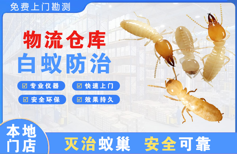 桂平物流仓库白蚁防治