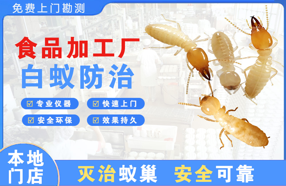 桂平食品加工厂白蚁防治