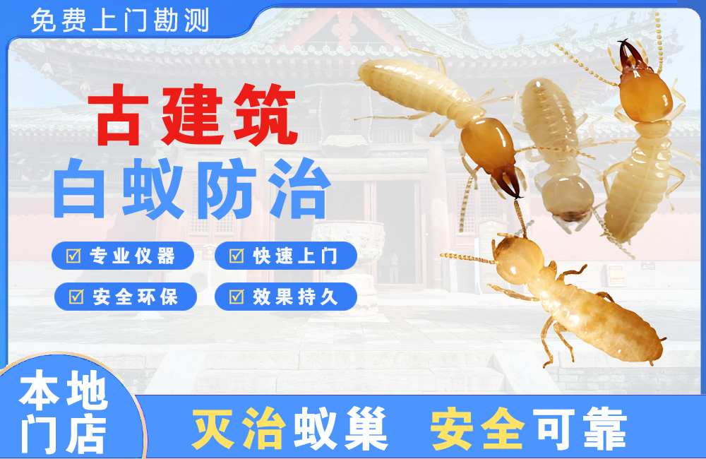 桂平古建筑白蚁防治